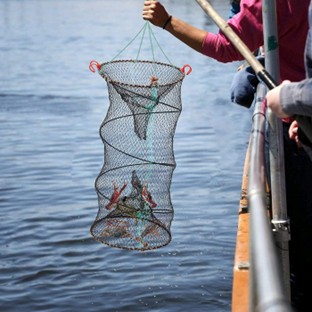 Pêche à la nasse