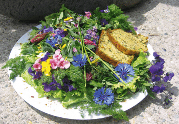 Salade &agrave; la cardamine et centaur&eacute;e