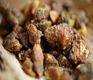 Gomme-résine opoponax Gomme-résine opoponax