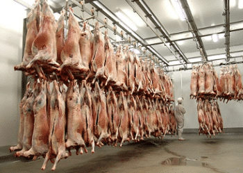 Abattoir Abattoir