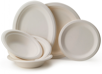 Assiettes biod&eacute;gradables