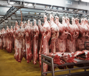 Carcasses de b&oelig;uf au march&eacute; de Rungis