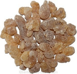 Encens de l’arbre Boswellia sacra Encens de l’arbre Boswellia sacra