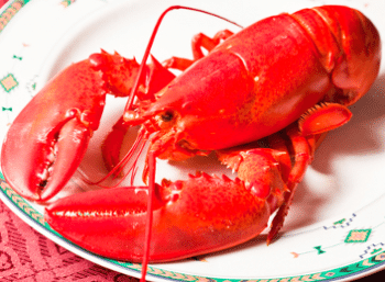 Homard cardinalisé Homard cardinalisé