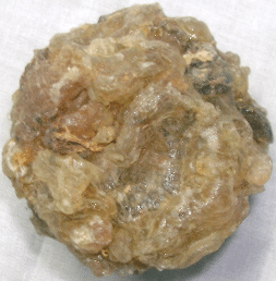 Scammonée Scammonée