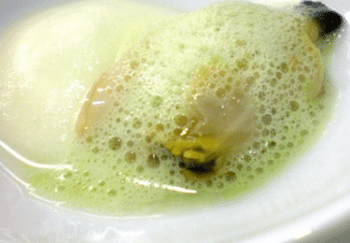 Espuma d&rsquo;hu&icirc;tre