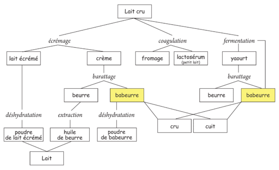 Dérivés du lait. Processus de fabrication traditionnelle du babeurre.