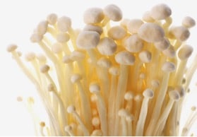 Enoki (détail) Enoki (détail)