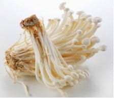 Enoki Enoki