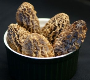 Morilles (détail)