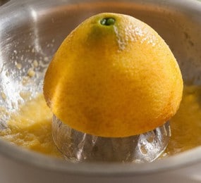 Presse-citron manuel Presse-citron manuel