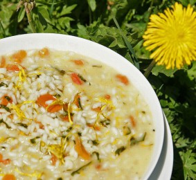 Risotto aux fleurs de pissenlit