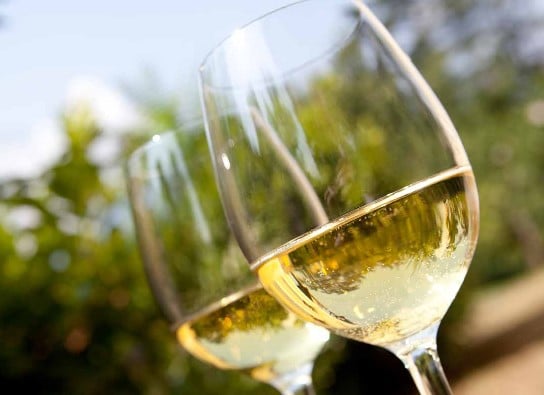Verres de Pinot gris Verres de Pinot gris