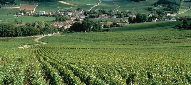 Vignoble et village de Mercurey
