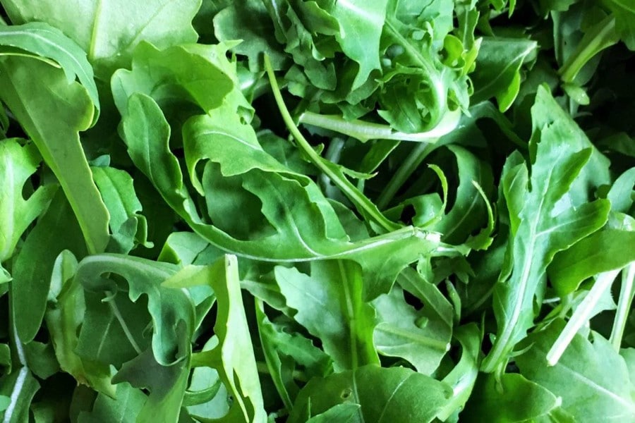 Insalata di rucola