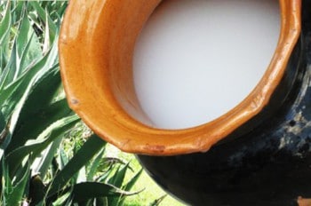 Pulque