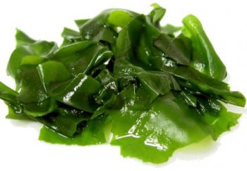 Wakamé