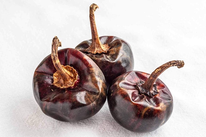 Piment cascabel