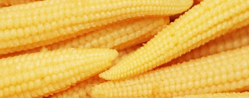 Asian baby corn