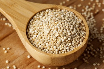Grains de quinoa blanc