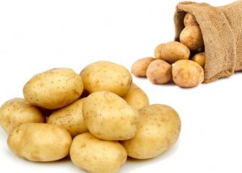 Spounta
