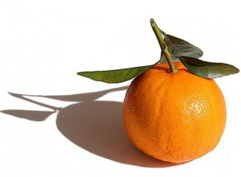 Orange tangor