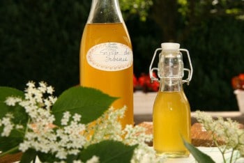 Sirop et vin de fleurs de sureau