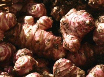 Topinambour patate