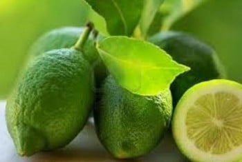 Lime de « Naples »