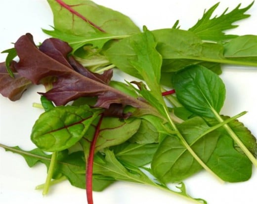 400 graines ... un mélange de plus doux au goût salade feuilles Mesclun-sweetleaf mix 400 graines ... un mélange de plus doux au goût salade feuilles Mesclun-sweetleaf mix