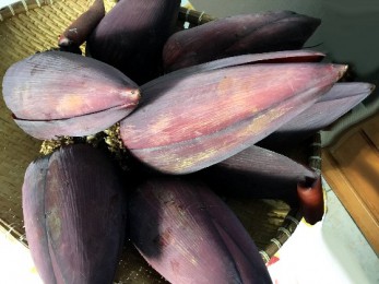 Babafigues à l’étal