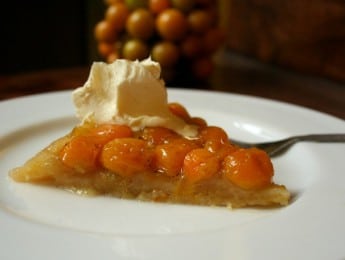 Part de tarte au physalis