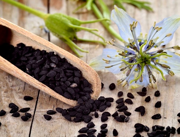 Flower and seeds of cultivated nigella
