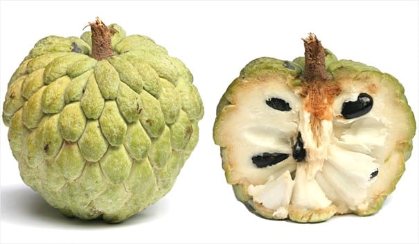 Pomme cannelle, Annona squamosa