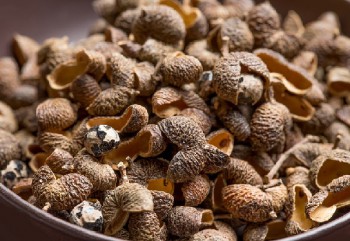Baies de poivre des cimes du Vietnam séchées