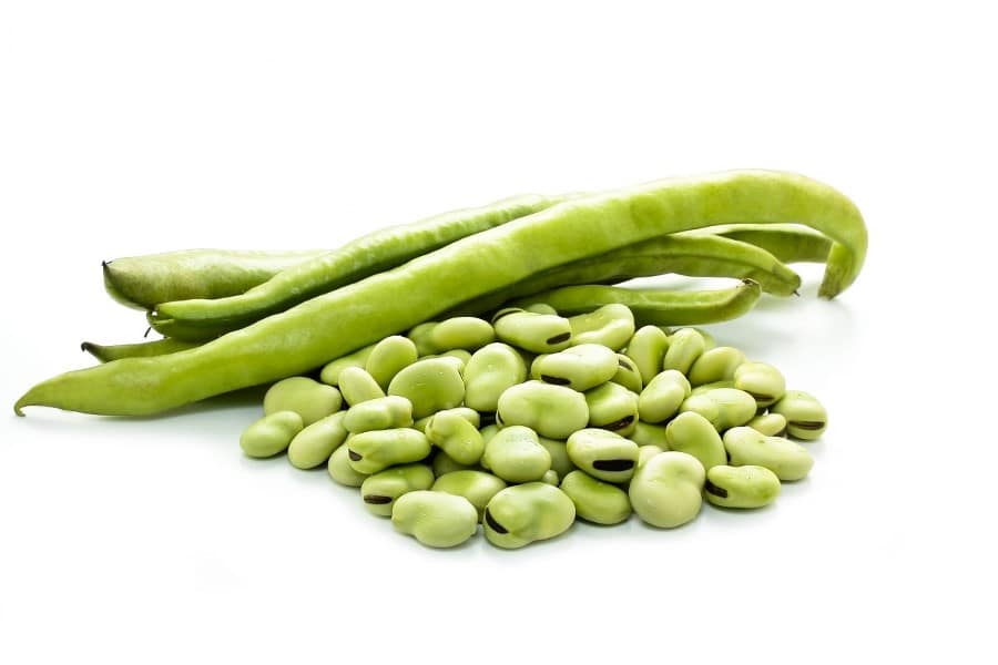 broad beans