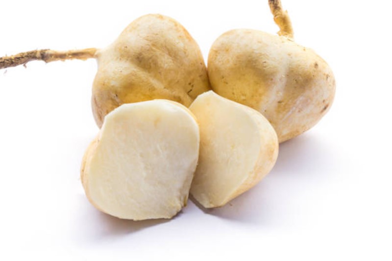 Jicama, Pachyrhizus erosus