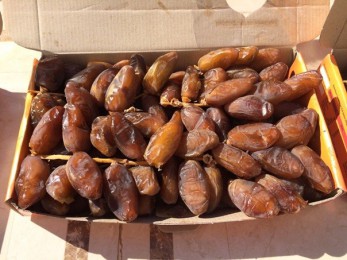 Dattes séchées