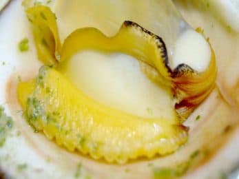 Amandes de mer au sel fumé viking