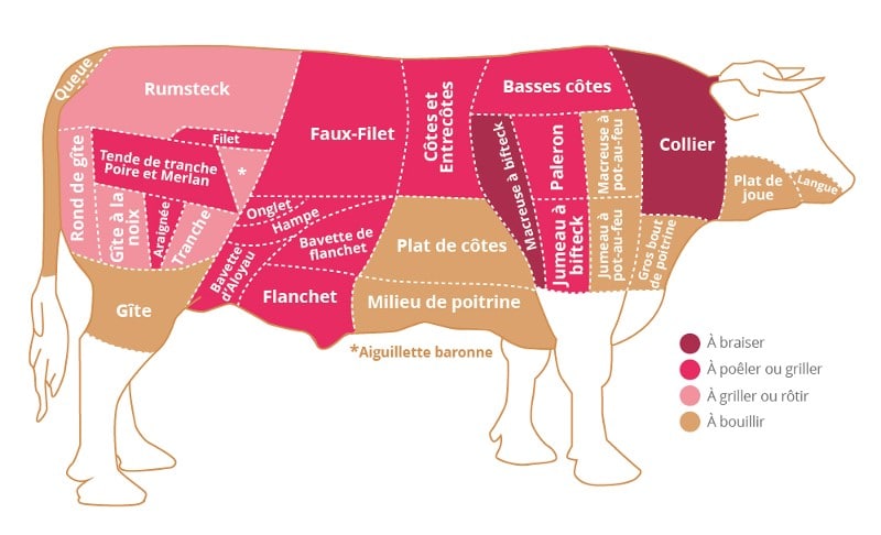 Découpe et destinations culinaires du bœuf