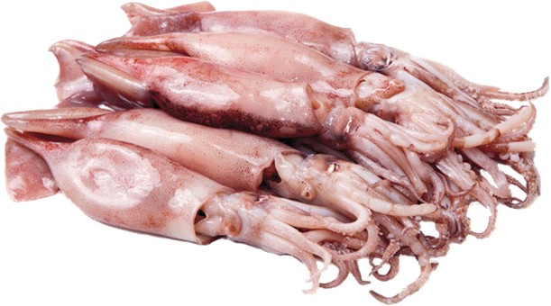 Calamaretti prêts à cuire