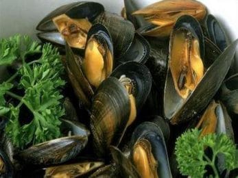 Moules belges