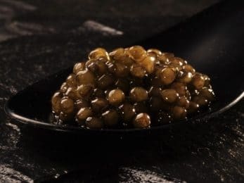 Caviar osciètre impérial