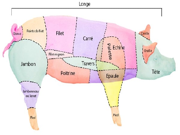 قطع لحم الخنزير