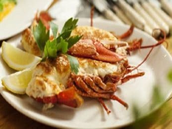 Homard en gratin