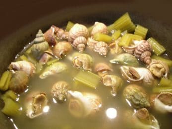 Cuisson des caricoles bruxelloises