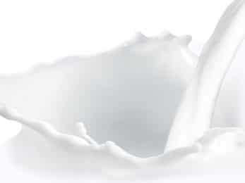 Lait stérilisé homogénéisé