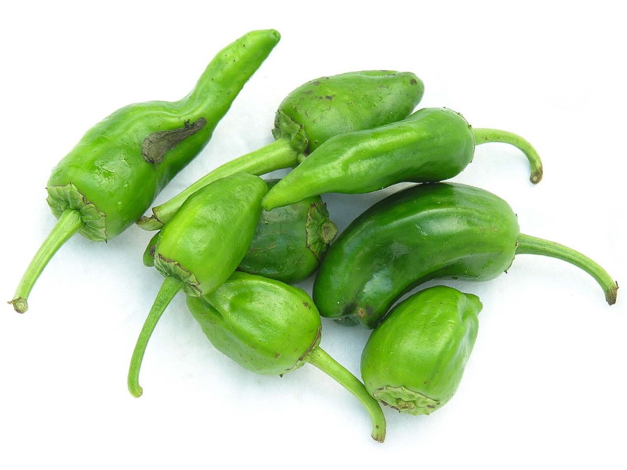 Pimientos de Padrón