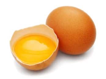 Œuf de poule et jaune d’œuf