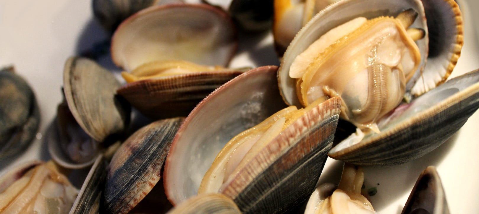 Vongole